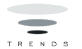 Trends Electronics International