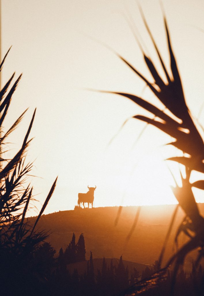 Spanish landscsape